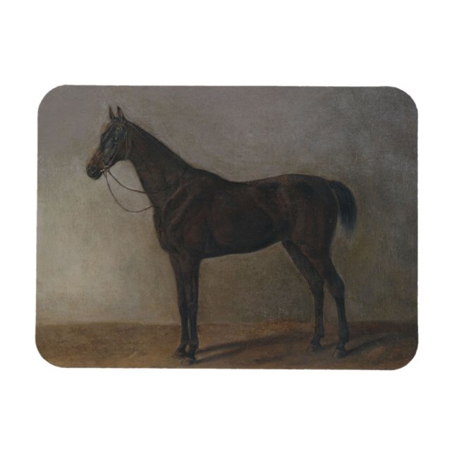 Bay Gelding Horse (von Albrecht Adam) Magnet (Horizontal)