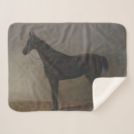 Bay Gelding Horse (von Albrecht Adam) Sherpadecke