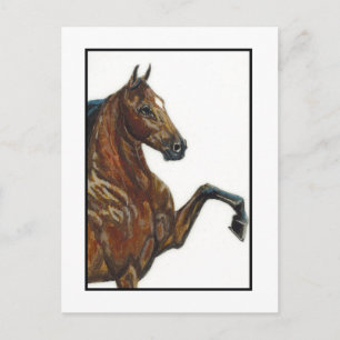 Bay Harness Pony 3 Postkarte
