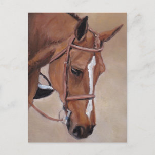 Bay Horse Animal Art Postcard Postkarte
