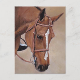 Bay Horse Animal Art Postcard Postkarte