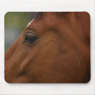 Bay Horse Closeup Mousepad