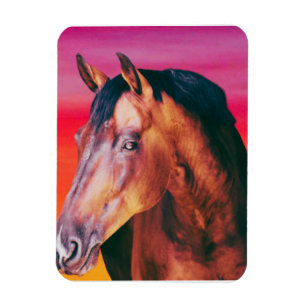 Bay Horse Farbverlauf Magnet