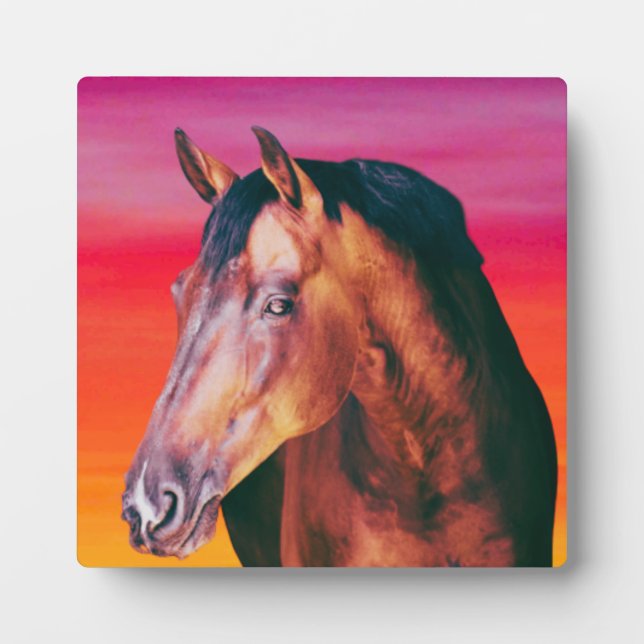 Bay Horse Gradient Fotoplatte (Vorderseite)
