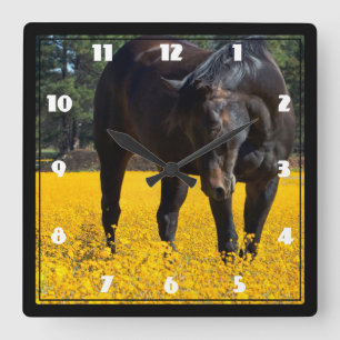 Bay Horse in a Field of Yellow Flowers Quadratische Wanduhr