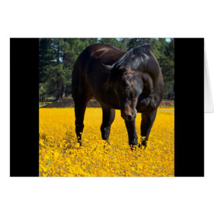 Bay Horse in einem Feld gelber Blumen