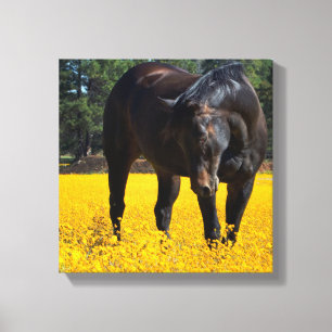 Bay Horse in einem Feld gelber Blumen Leinwanddruck