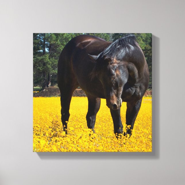 Bay Horse in einem Feld gelber Blumen Leinwanddruck (Vorderseite)