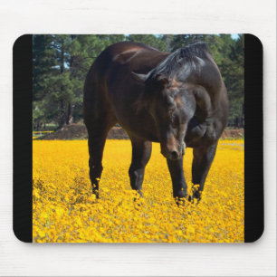 Bay Horse in einem Feld gelber Blumen Mousepad