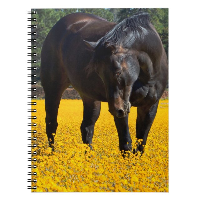 Bay Horse in einem Feld gelber Blumen Notizblock (Vorderseite)