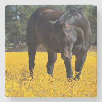 Bay Horse in einem Feld gelber Blumen