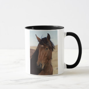 Bay Horse in Wind Tasse