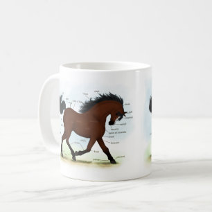 Bay Horse mit Blaze Educational Anatomic Chart Kaffeetasse