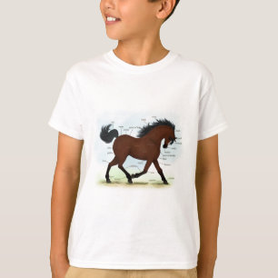 Bay Horse mit Blaze Educational Anatomic Chart T-Shirt