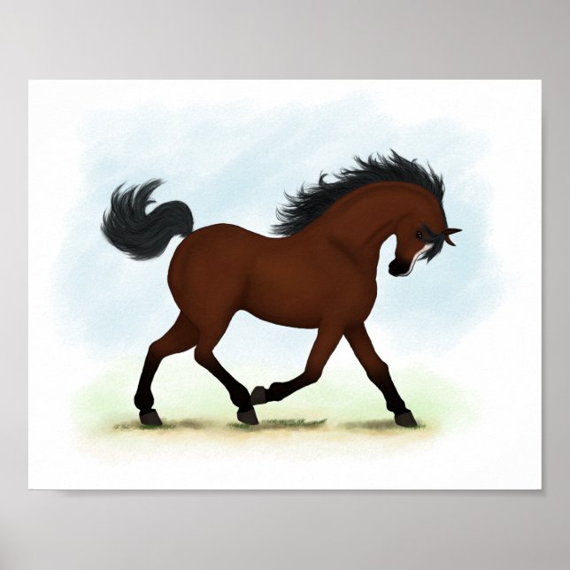 Bay Horse mit Blaze Reittier Poster (Vorne)