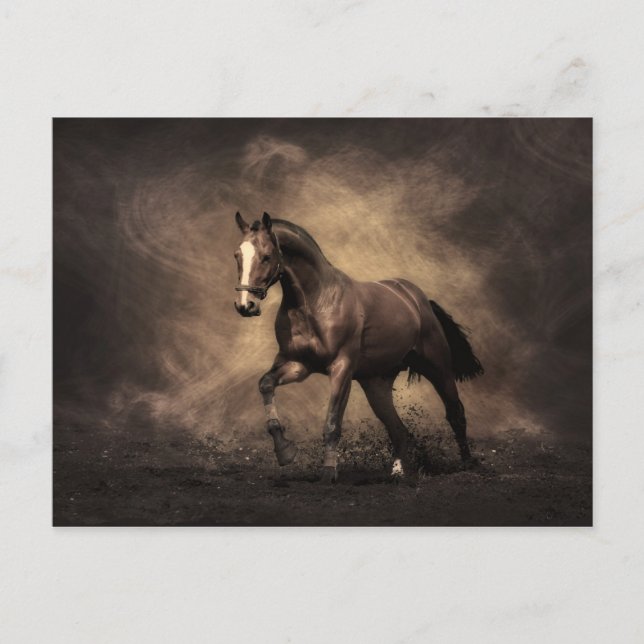 Bay Horse Postkarte (Vorderseite)