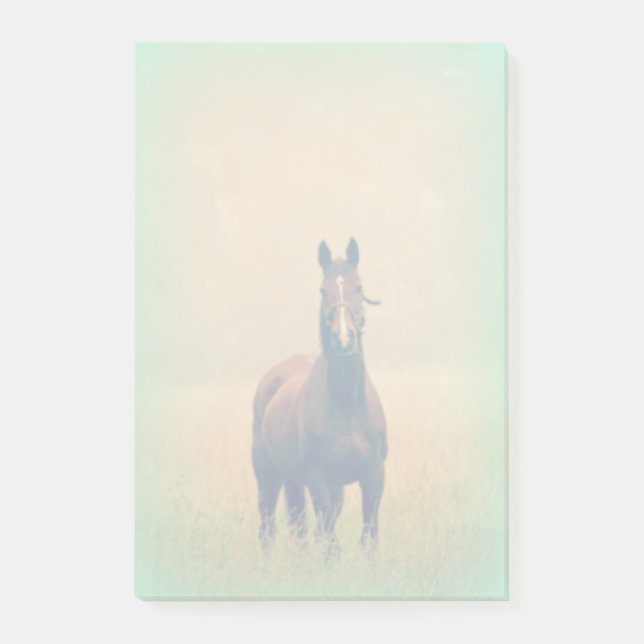 Bay Horse Stehend in einem Feld Post-it Klebezettel (Vorderseite)