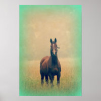 Bay Horse Stehend in einem Feld