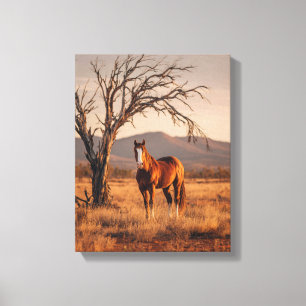 Bay Horse Sunset Prairie-Malerei Leinwanddruck