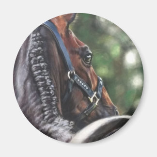 Bay Horse Thoroughbred Warmblut Dressage Jumper Magnet