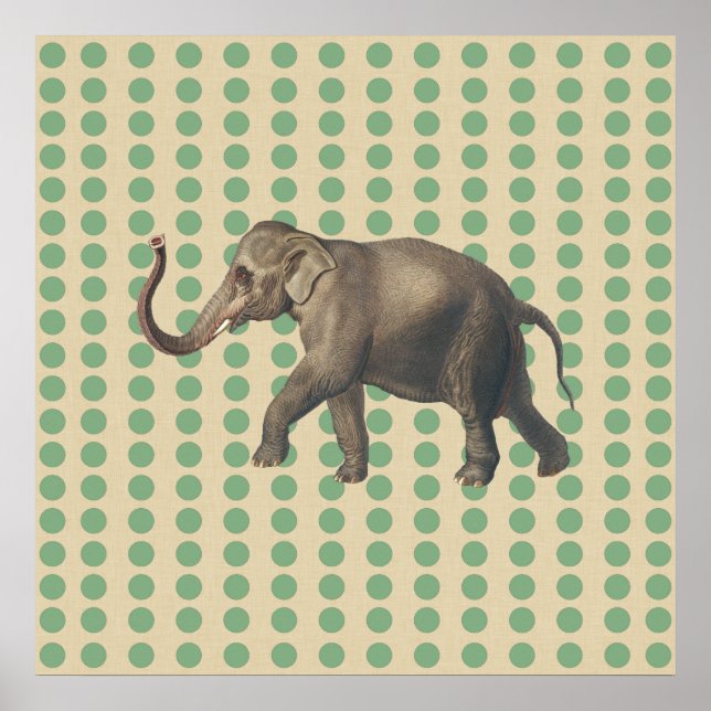 Bay Leaf Gewürzstimmungen Punkte mit Elefant Poster (Vorne)