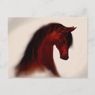 Bay Mare ~ Blank Postcard Postkarte