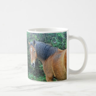 Bay New Forest Pony, Hampshire, England Kaffeetasse
