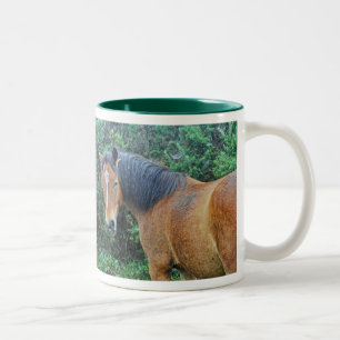 Bay New Forest Pony, Hampshire, England Zweifarbige Tasse