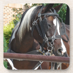Bay Pinto Amish Buggy Horse Getränkeuntersetzer