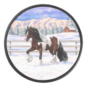 Bay Pinto Brown Skewbald Sinti und Roma Vanner Tin Eishockey Puck