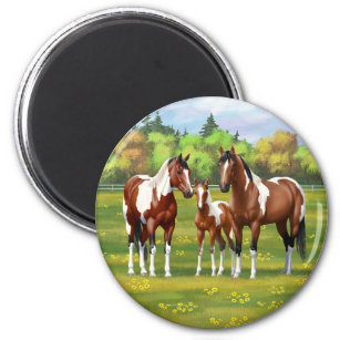 Bay Pinto Paint Quarter Pferde im Sommer Weide Magnet