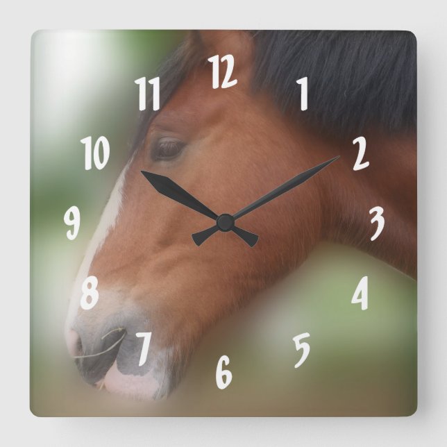 Bay Shire Draft Horse Face Quadratische Wanduhr (Vorderseite)