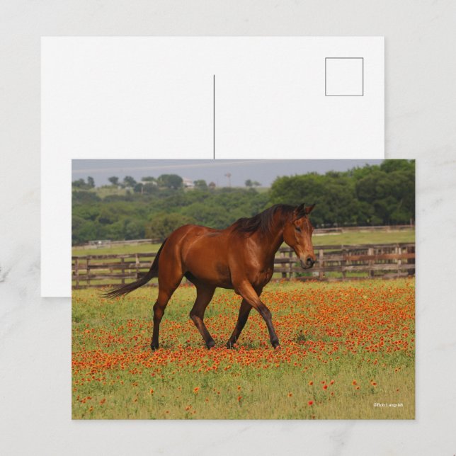 Bay Thoroughbred Horn Walking Blume Postkarte (Vorne/Hinten)