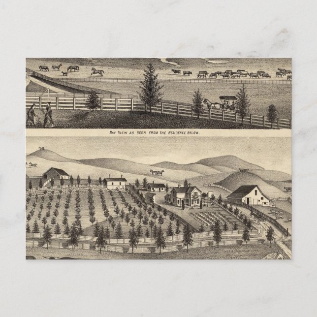 Bay View und Residence JR Rose Postkarte (Vorderseite)