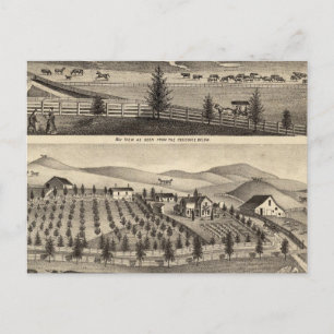 Bay View und Residence JR Rose Postkarte