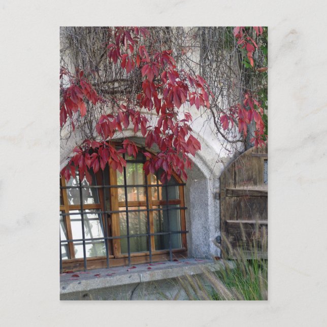 Bayerischer Herbst Postkarte (Vorderseite)