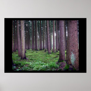Bayerischer Wald Poster
