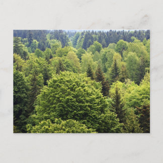 Bayerischer Wald Postkarte