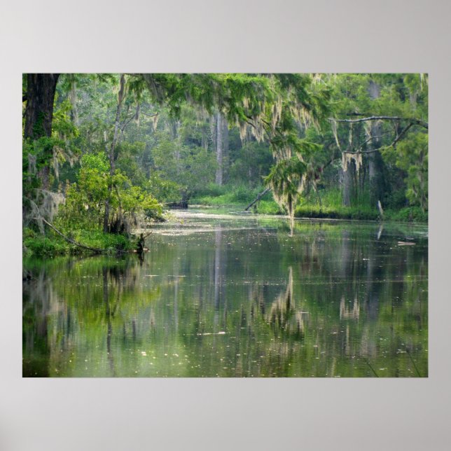 Bayou Poster (Vorne)