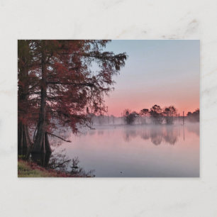 Bayou sunrise postkarte