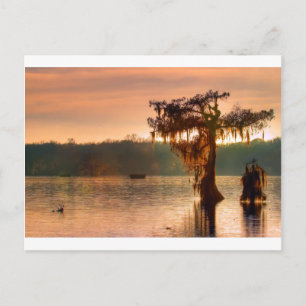 Bayou Sunset 5769 Postkarte