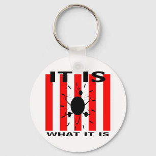 Bazinga Geschenke Schlüsselanhänger