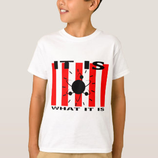 Bazinga Geschenke T-Shirt