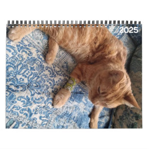 Bazz 12 Monate 2025 Personalisierter Kalender