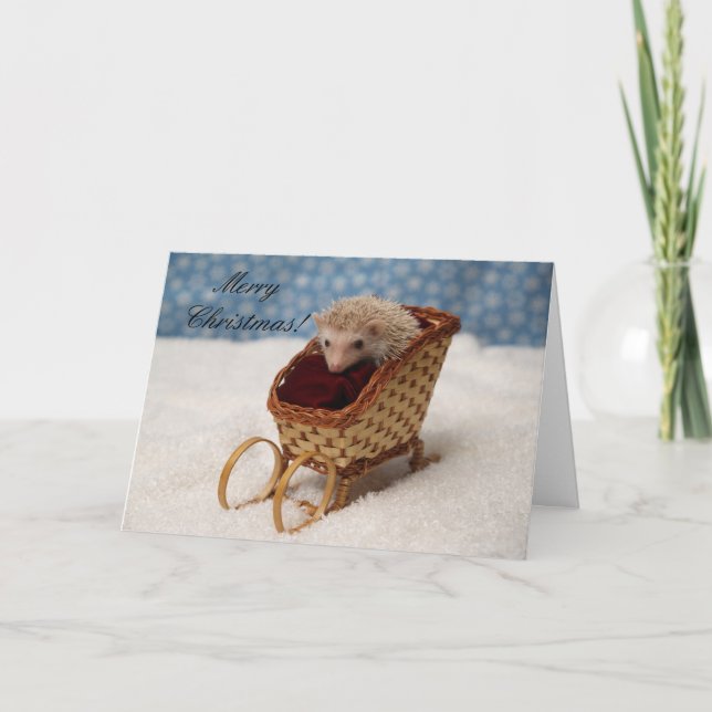 BB238777, MerryChristmas! Feiertagskarte (Vorderseite)