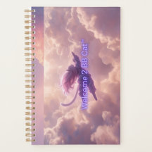 BB Cat schedule balance, Awakening Series