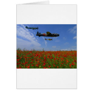 BBMF und Mohnblumen