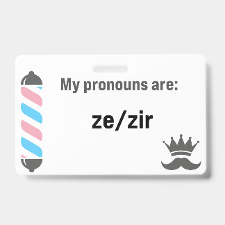BBS Pronouns Zi/Zir Ausweis