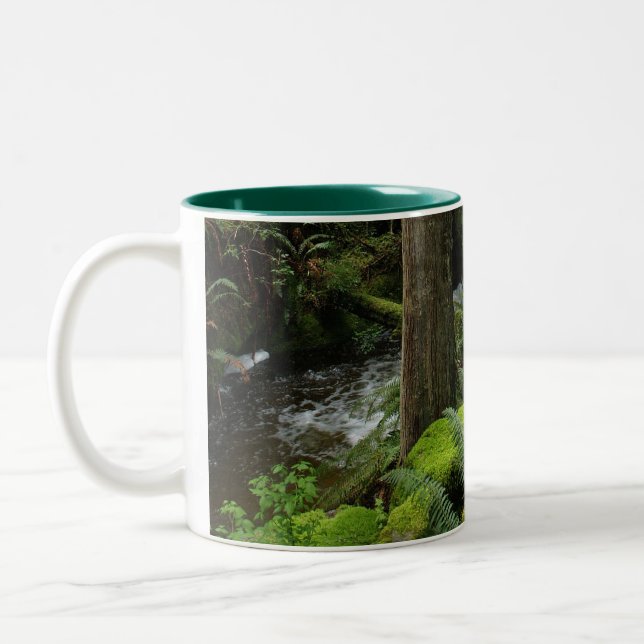 BC Forest Creek Ferns Wilderness Nature Trinkbehäl Zweifarbige Tasse (Links)