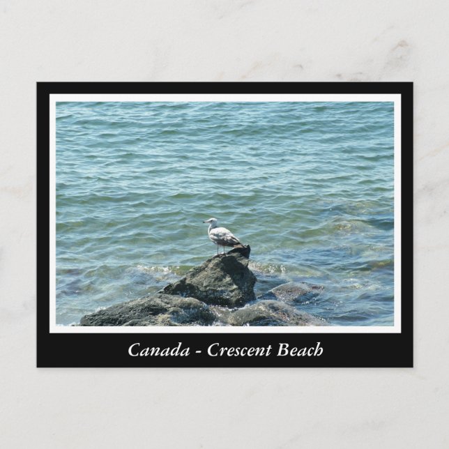 BC, Kanada, Crescent Beach Postkarte (Vorderseite)